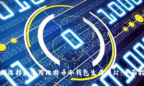 如何选择和使用比特币冷钱包生成网站:全面指南