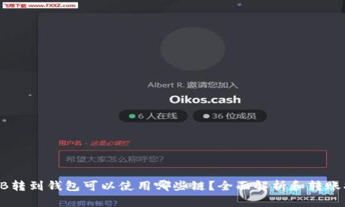 SHIB转到钱包可以使用哪些链?全面解析和转账指南