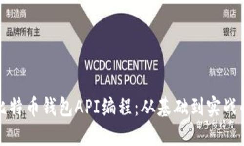 全面解析比特币钱包API编程:从基础到实战的完整指南