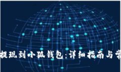 如何将资金提现到小狐钱包：详细指南与常见问