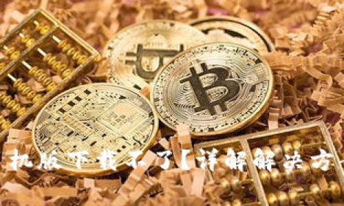 MetaMask手机版下载不了?详解解决方案与常见问题
