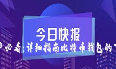 安卓用户必看：详细指南比特币钱包的