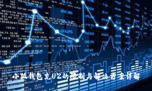 小狐钱包充UZ的限制与解决方案详解