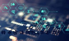 全面解析比特币密语钱包：保护你的加