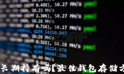 SHIB能长期持有吗?最佳钱包存储方案解析
