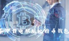 如何选择和下载电脑版比特币钱包：全