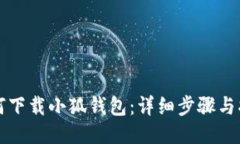 如何下载小狐钱包：详细步骤与指南