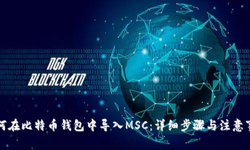 如何在比特币钱包中导入MSC:详细步骤与注意事项