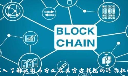 深入了解比特币分叉及其官方钱包的运作机制
