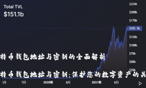 比特币钱包地址与密钥的全面解析
比特币钱包地址与密钥:保护您的数字资产的关键