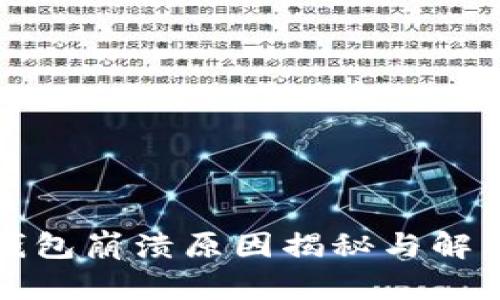 小狐钱包崩溃原因揭秘与解决方案