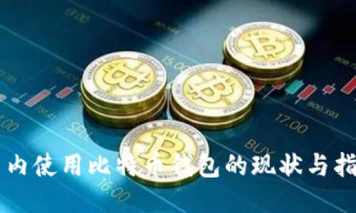 国内使用比特币钱包的现状与指南