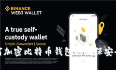 如何加密比特币钱包以确保安全性