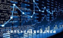 小狐钱包加速现象解析与应对策略