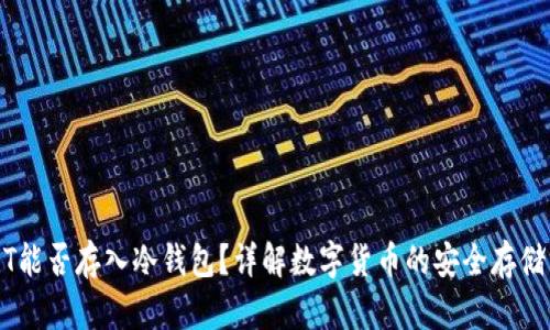 USDT能否存入冷钱包?详解数字货币的安全存储方案