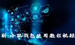 全面解析：小狐钱包使用教程视频完整
