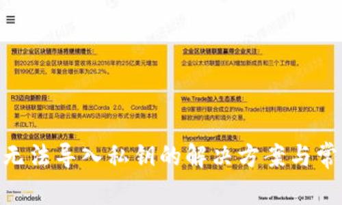 MetaMask无法导入私钥的解决方案与常见问题解析