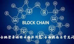如何安全地登录比特币国际钱包：全面
