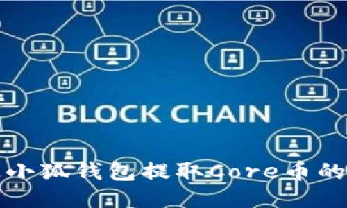 如何通过小狐钱包提取Core币的详细指南