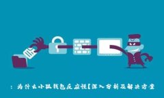 : 为什么小狐钱包反应慢？深入分析及