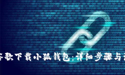 如何在谷歌下载小狐钱包:详细步骤与注意事项