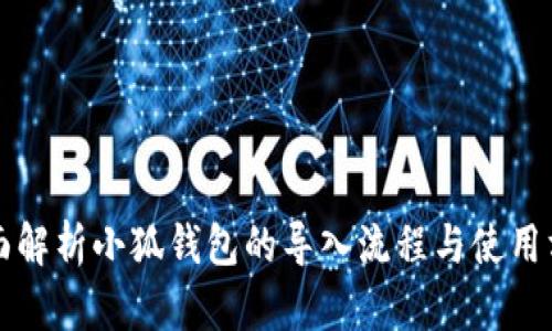 全面解析小狐钱包的导入流程与使用方法