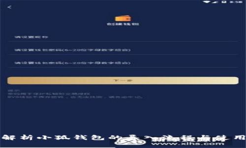 全面解析小狐钱包的导入流程与使用方法