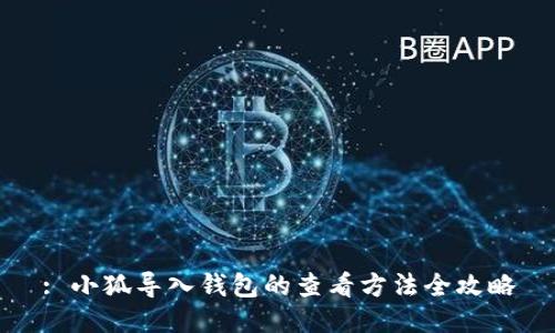 : 小狐导入钱包的查看方法全攻略