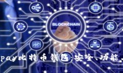 全面解析Vpay比特币钱包：安全、功能