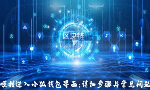 如何顺利进入小狐钱包界面:详细步骤与常见问题解答