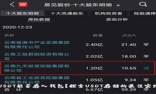 USDT能否存入钱包?探索USDT存储的最佳实践