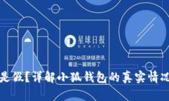 小狐钱包是真是假？详解小狐钱包的真
