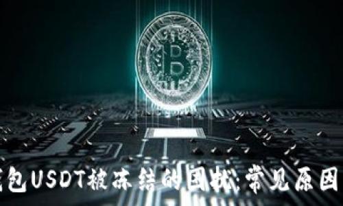 如何解决钱包USDT被冻结的困扰:常见原因与解决方案