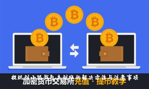 提现到小狐钱包未到账的解决方法与注意事项