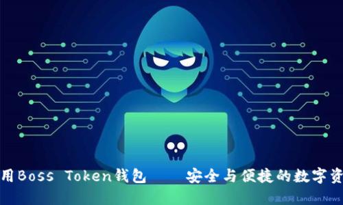 如何高效使用Boss Token钱包——安全与便捷的数字资产管理工具