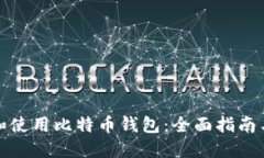 如何选择和使用比特币钱包：全面指南