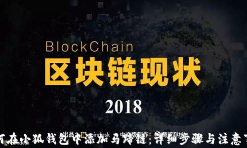 如何在小狐钱包中添加马蹄链:详细步骤与注意事项