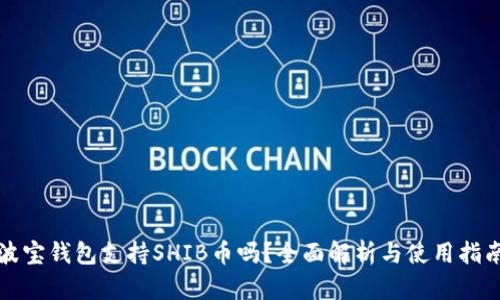 波宝钱包支持SHIB币吗?全面解析与使用指南