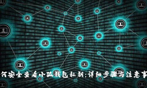 如何安全查看小狐钱包私钥:详细步骤与注意事项