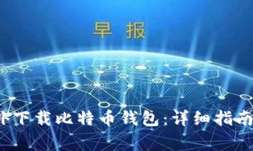 如何在国外下载比特币钱包：详细指南与注意事项