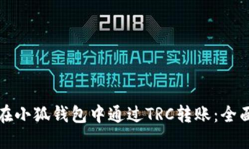 如何在小狐钱包中通过TRC转账:全面指南