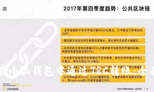 如何在小狐钱包中通过TRC转账:全面指南