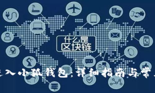 如何成功进入小狐钱包:详细指南与常见问题解答