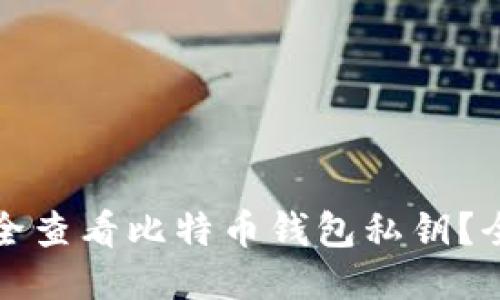 如何安全查看比特币钱包私钥？全面指南