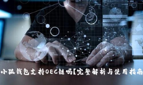 小狐钱包支持OEC链吗?完整解析与使用指南