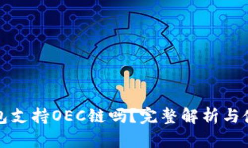 小狐钱包支持OEC链吗?完整解析与使用指南