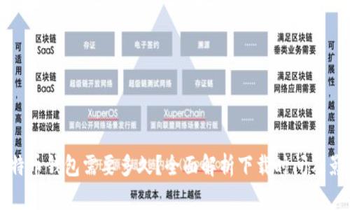 下载比特币钱包需要多久?全面解析下载时间及影响因素