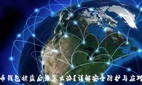 比特币钱包被盗后该怎么办?详解安全防护与应对措施