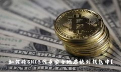 如何将SHIB代币安全地存放到钱包中？
