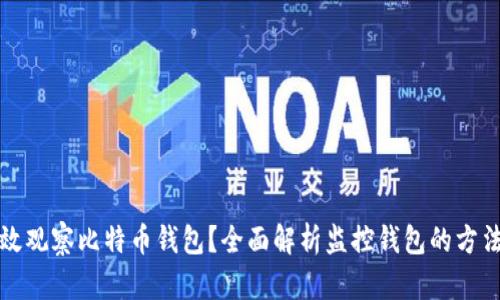 如何高效观察比特币钱包?全面解析监控钱包的方法与技巧